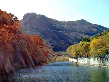 澳门天天免费精准大全，柳岩隆胸